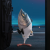 YoSoyAstro