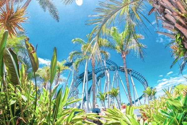 Sea World Gold Coast