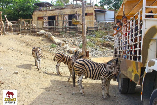 Selwo Aventura