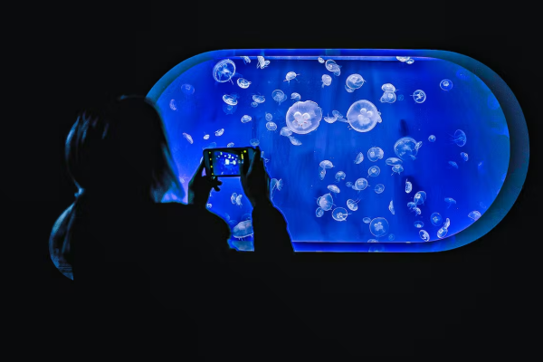Oceanografic