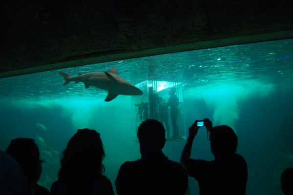 Zoológico de Guadalajara
