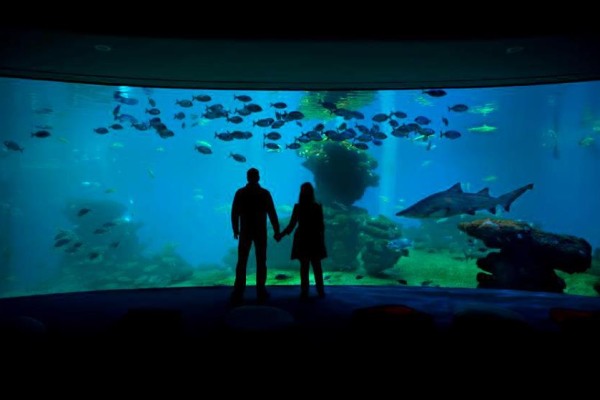 Palma Aquarium