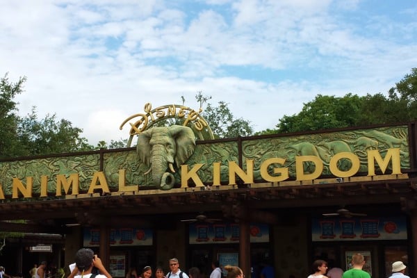 Disney Animal Kingdom