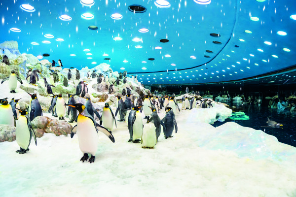 Loro Parque