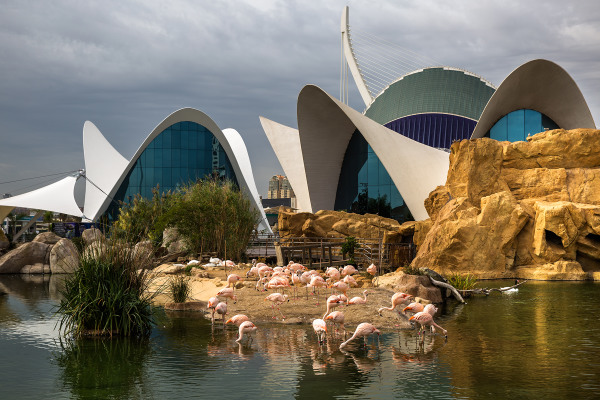 Ciudad de las Artes y las Ciencias