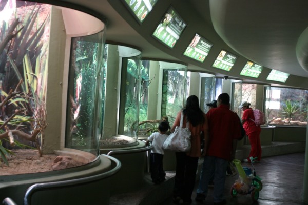 Zoológico de Guadalajara